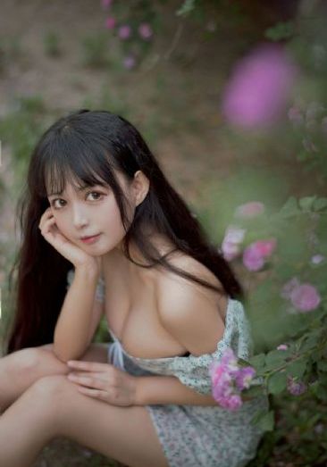 献鱼电视剧免费观看完整版