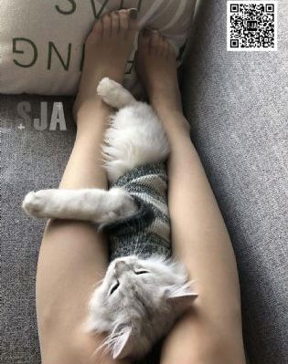 星际宝贝冲绳岛