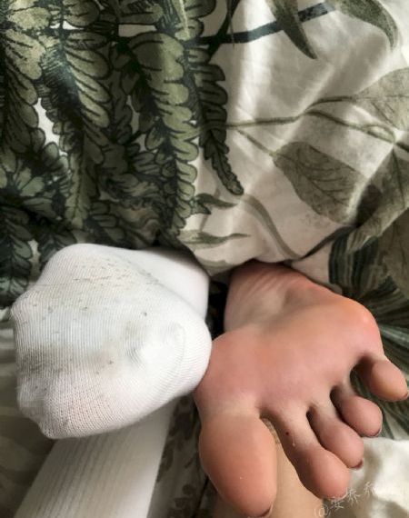 孤岛飞鹰在线观看