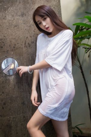 藏海花1—36集电视剧免费观看